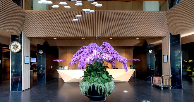 Discover Luxury Hotels With World-Class Concierge Services